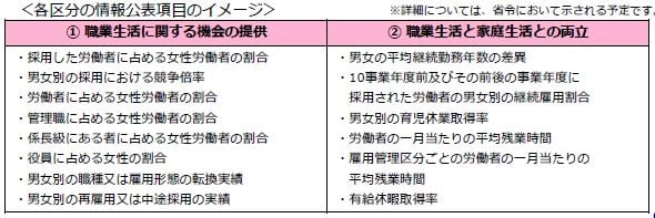 女性活躍推進No.2　情報公表項目のイメージ