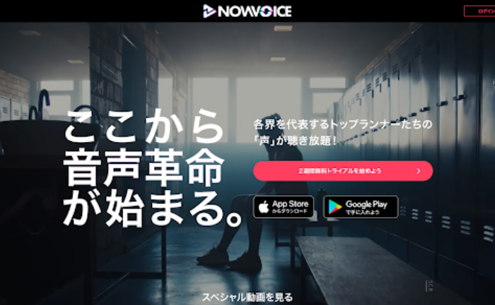 NowVoice