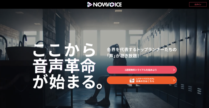 NowVoice