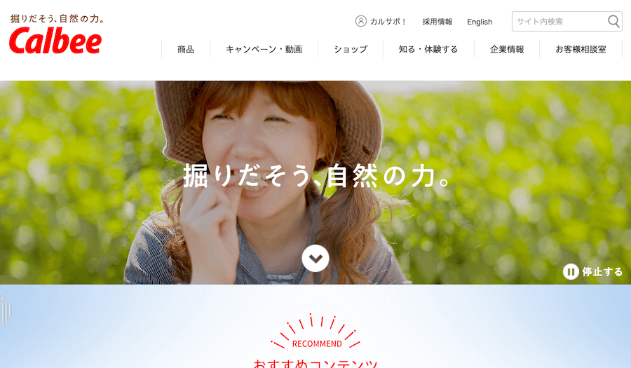 カルビー株式会社