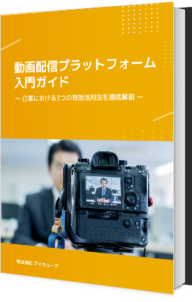 book_video_distribtion_platform_startguide