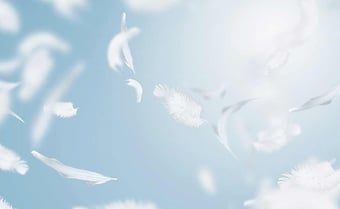 Web会議の利便性を活かして、セミナー開催の手間やコストを解消しよう！